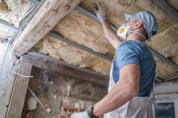 Best Energy Efficiency Insulation in Barnhart, MO