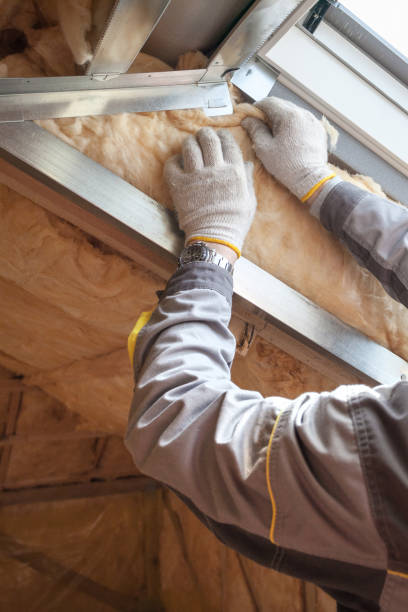 Best Spray Foam Insulation in Barnhart, MO