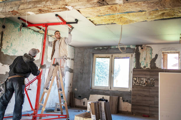 Best DIY Insulation Kits and Guidance in Barnhart, MO