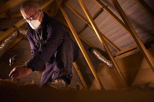 Best Spray Foam Insulation in Barnhart, MO